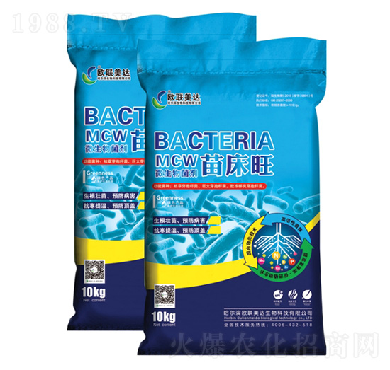 �紲��΢�������-�W���_