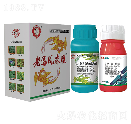 ��Ч�����������ݷ���-���R�L(f��ng)���-�����r(n��ng)�I(y��)