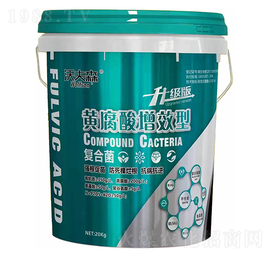 �S������Ч�͏ͺϾ�-�ַ�ɭ-���������