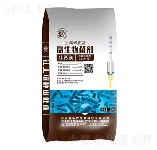 ���}�V�����ޏ̈́�-���A����