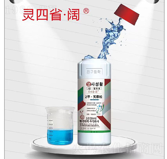 2�ס������-�`��ʡ���-�n�ѻ��W(xu��)