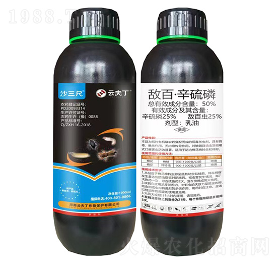 50%���١�������-ɳ����-�Ʒ�