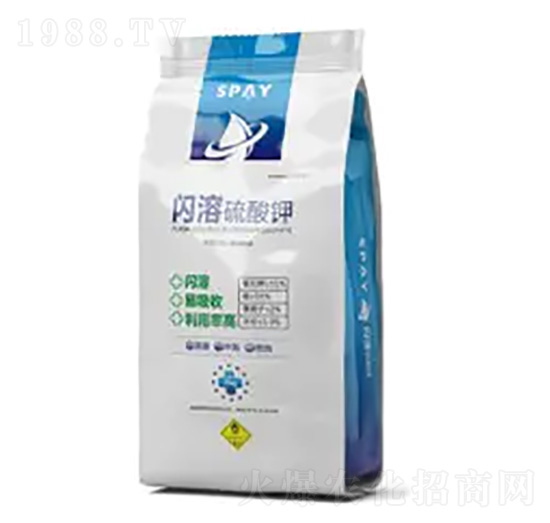 �W�������-ʩ������