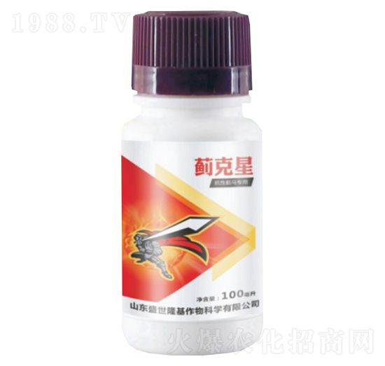 �����E�R����-�E����-ʢ��¡��