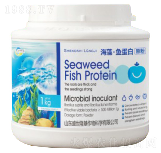 ���塤�~(y��)����ԭ��-ʢ��¡��