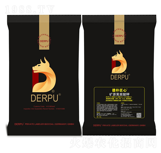 �VԴ�S�����-�㽳��-��