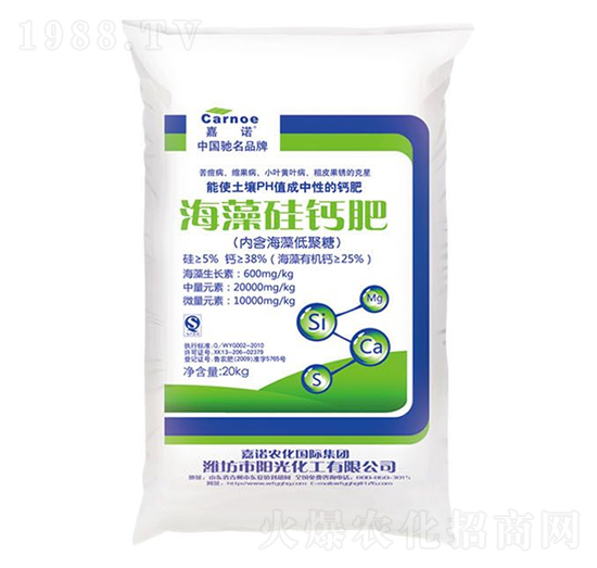 ������}��-���Z-�(y��ng)�⻯��