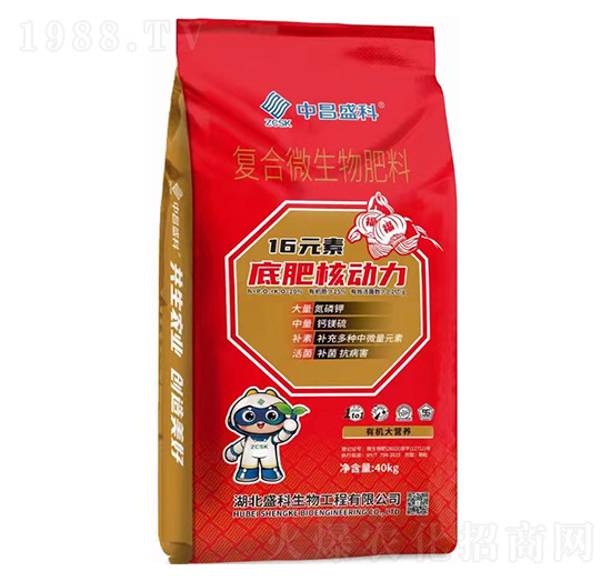 ��(f��)��΢�������-�в�ʢ��-ʢ������