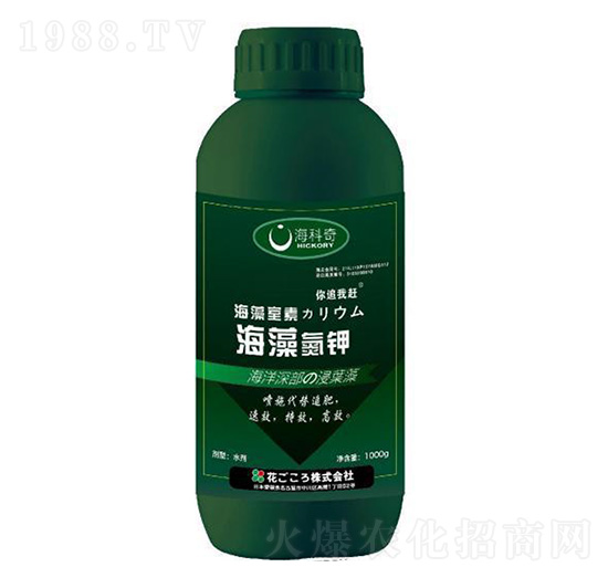 ���嵪�-������