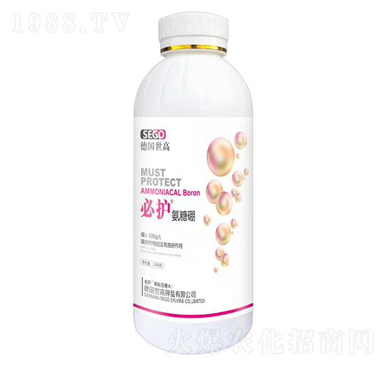 ������-���o-����������