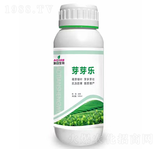 ѿѿ��-�W������