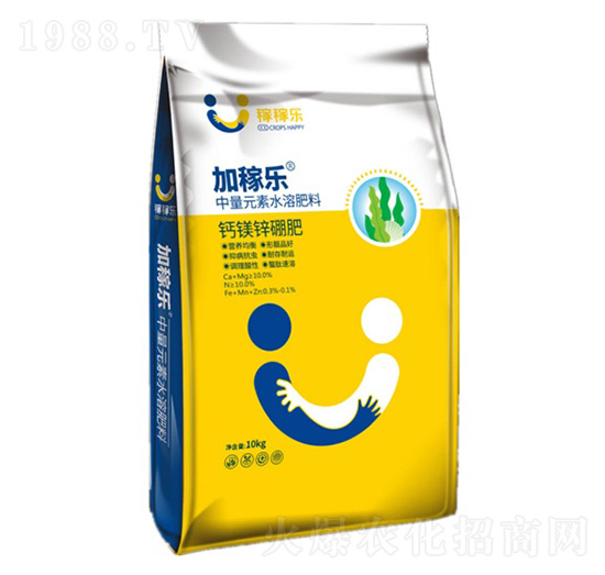 �}�V���\��-�Ӽژ�-�ڼژ�