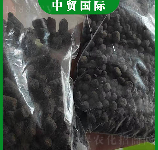 �����{�턩