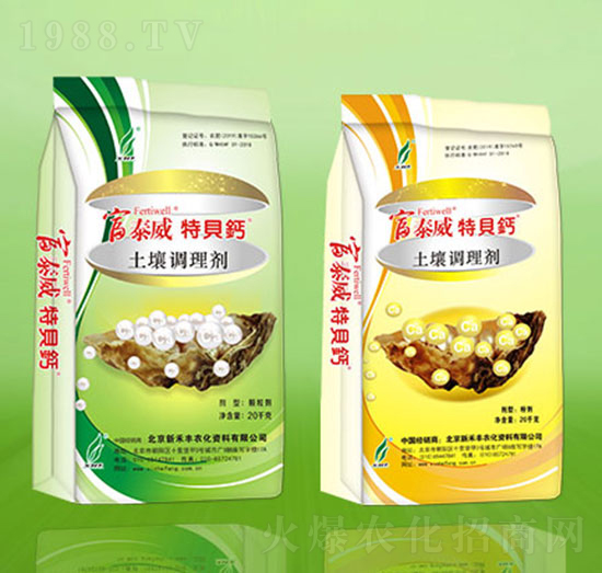 �����{�턩-��̩����ؐ�}-�º��S