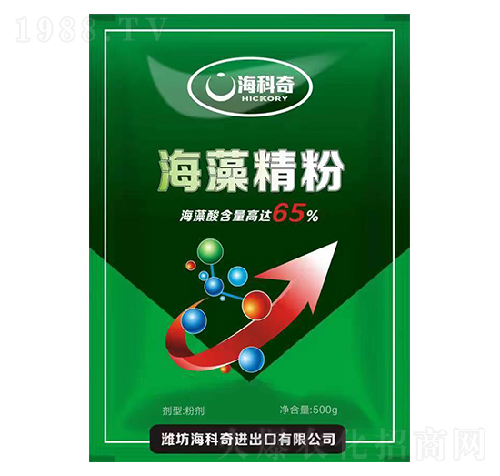 ���徫��-������