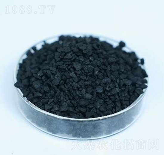 �ڽ���w��-�����r�I(y��)