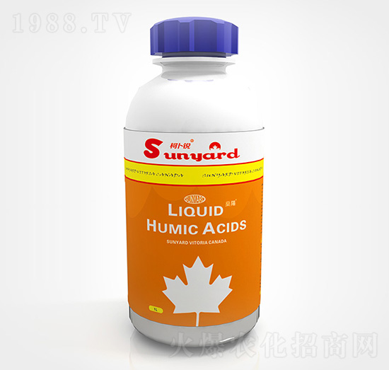 Һ�B(t��i)��ֲ��-�²��J-��ꖻ���