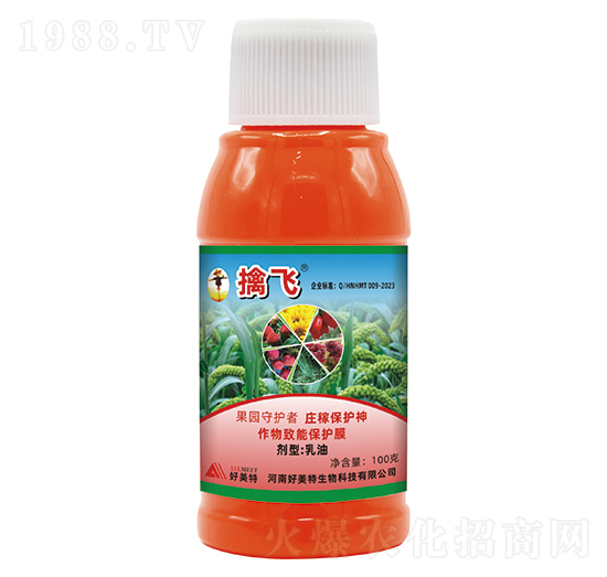 ���w�(q��)�B(ni��o)�������ͣ�-������