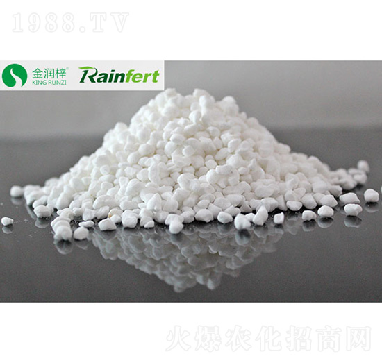 17%���w��-����