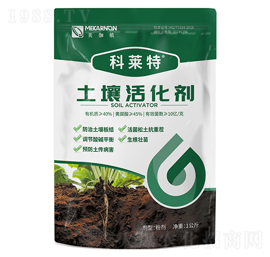 ʿ�����-���R��-��٤�z