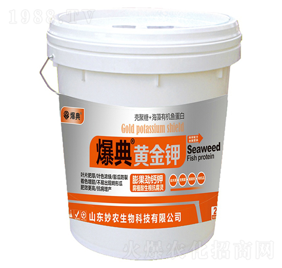 �S���-����-���r(n��ng)����