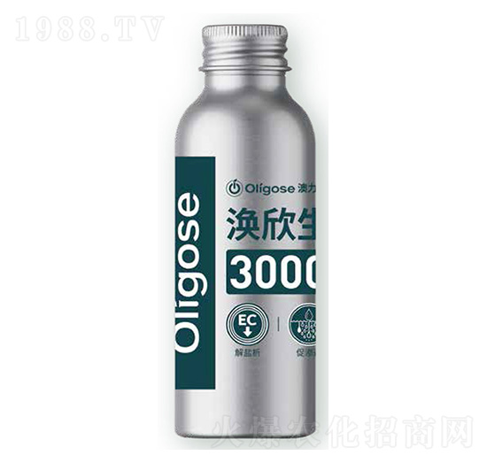 �o����3000-������