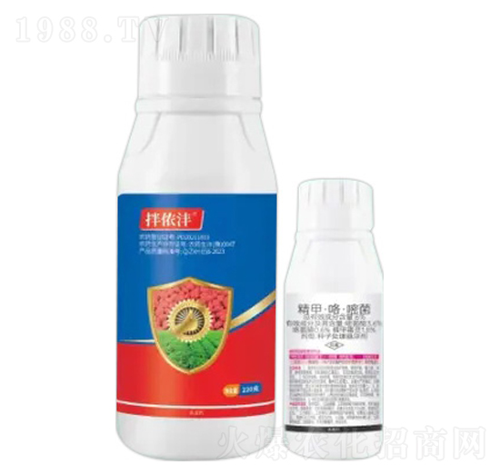 8%���x��+6%���ס������׾�-��z��-�Z�����r(n��ng)�I(y��)