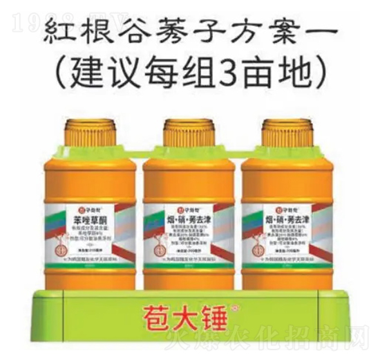 �t����ݬ�ӷ���-�����N-�n�ѻ��W(xu��)