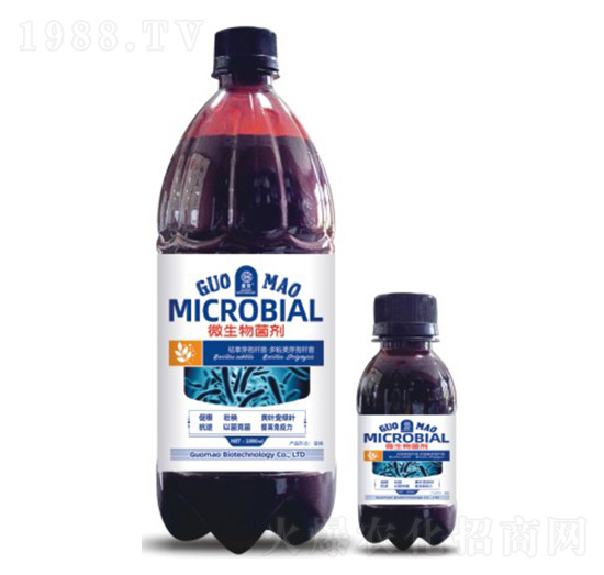 ΢�������-��ï����