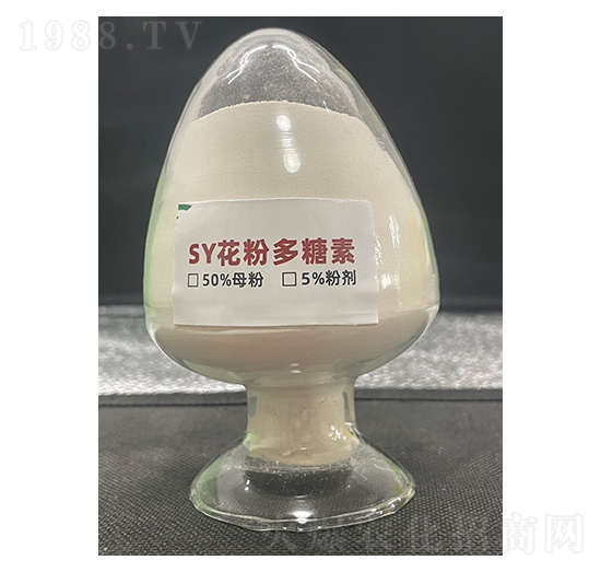 SY���۶�����-��������