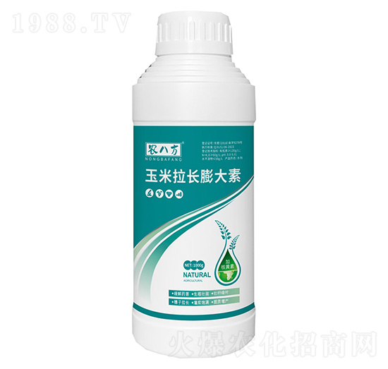 �������L�����-�r�˷�