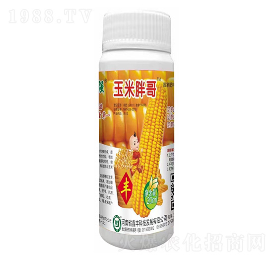 �����ָ�-���S�Ƽ�