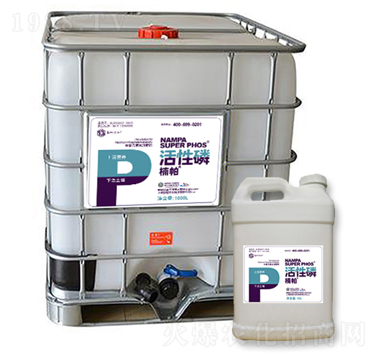 �����������-����