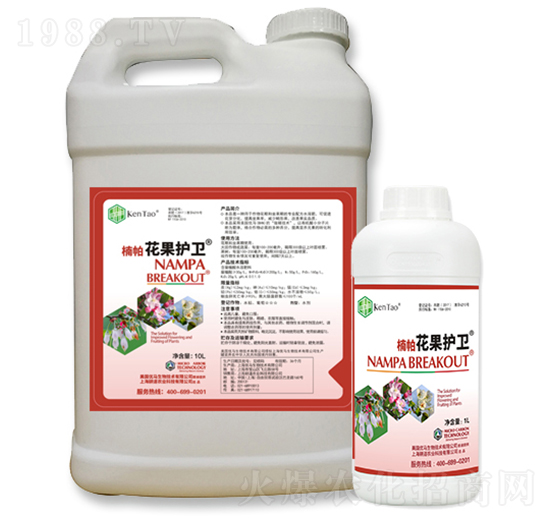 ��������o(h��)�l(w��i)-����