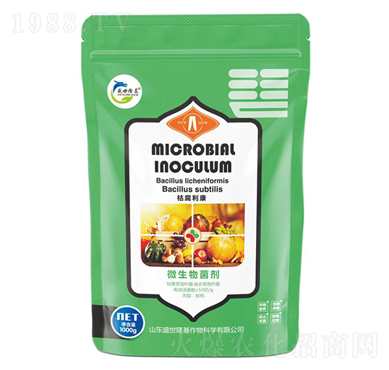 ΢�������-�ݸ�����-ʢ��¡��