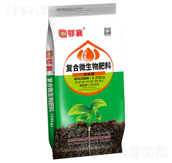 �ͺ�΢�������-����