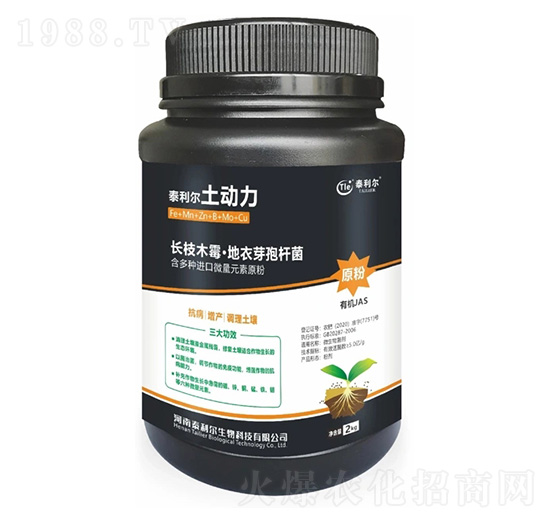 ΢�������-����(d��ng)��-̩����