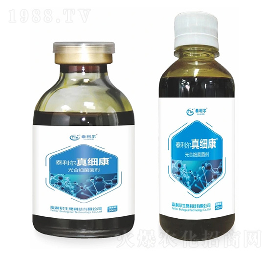 ��ϼ�(x��)������-�漚(x��)��-̩����