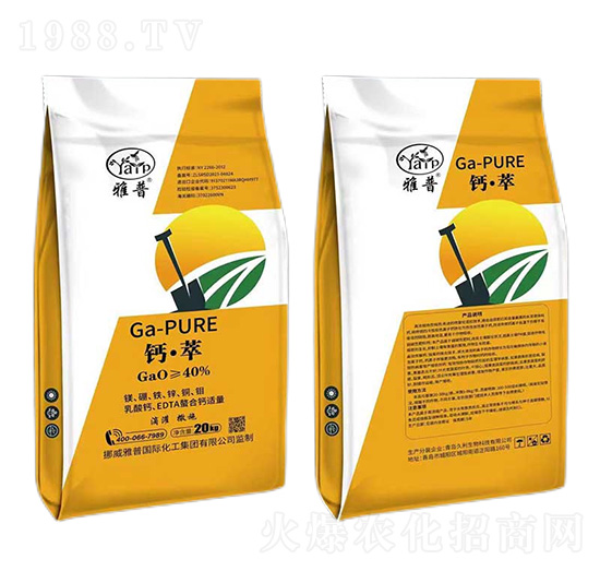 �}����-����-��������