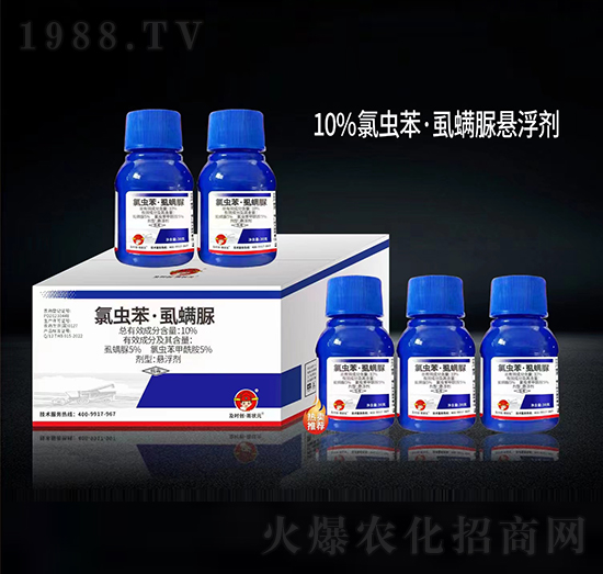 10%���x����ʭ����Ҹ���-���r(sh��)��