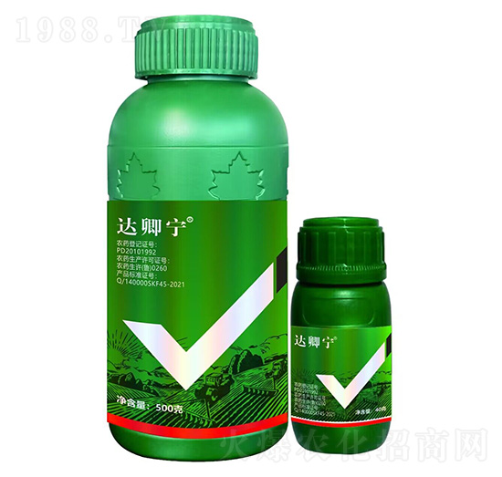 �_�䌎-������