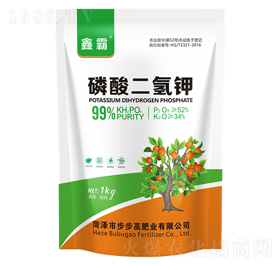 ��������-�ΰ�-���ZԴ