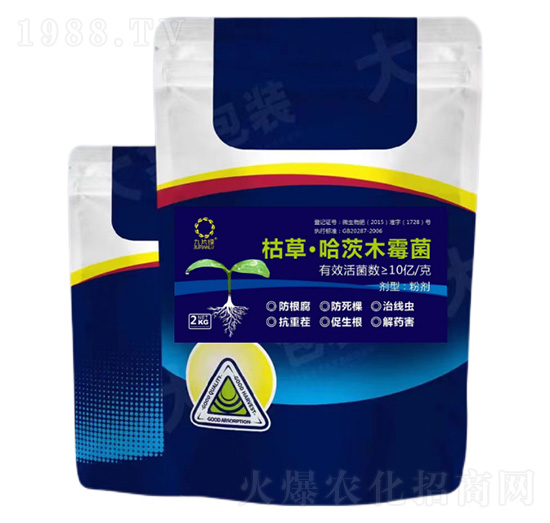 �ݲݡ�����ľù��-��Ƭ�G-���r�S�ʘI(y��)