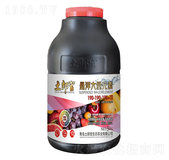 �Ҹ�����Ԫ��190-190-190+TE-���ɹ�