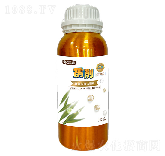 ��x�ӱ�����Ԅ�-�Z��-������