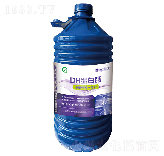 DH�����}-�ֈ@��-�A���SԴ