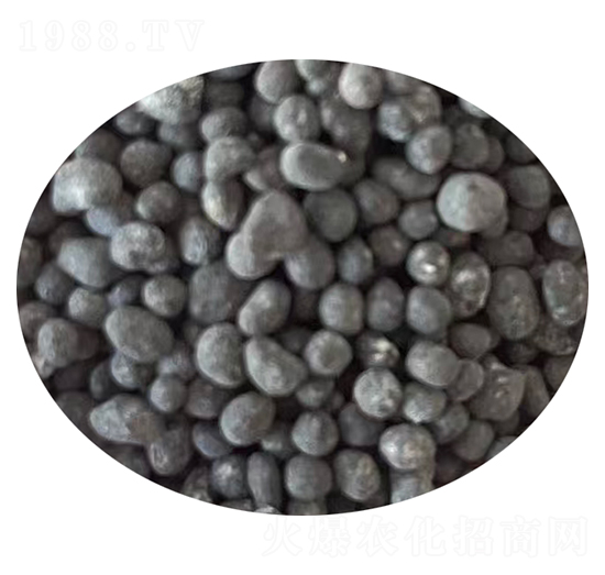 ����۹Ȱ����w��-���r�r�Y