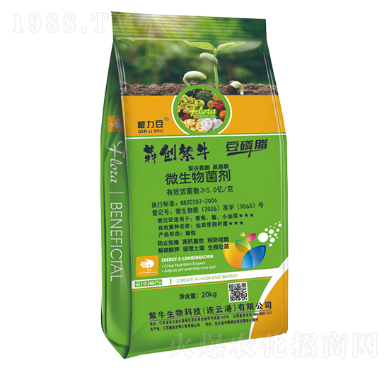 ΢�������-������-�Ą�(chu��ng)��ţ