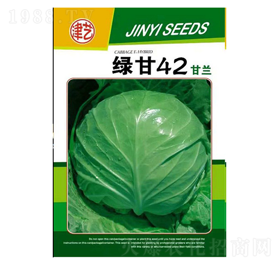 甘藍(lán)種子-綠甘42-邯豐農(nóng)業(yè)