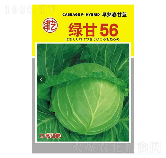 ���{(l��n)�N��-�G��56-���S�r(n��ng)�I(y��)